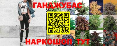 spice Дубна