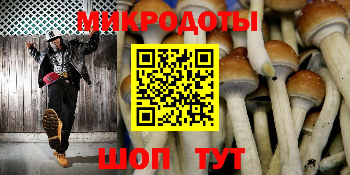 Медногорск  Псилоцибиновые грибы прущие грибы  Вход с VPN 